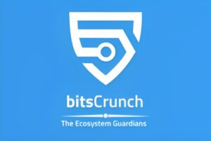 Bitcrunch-Case-study
